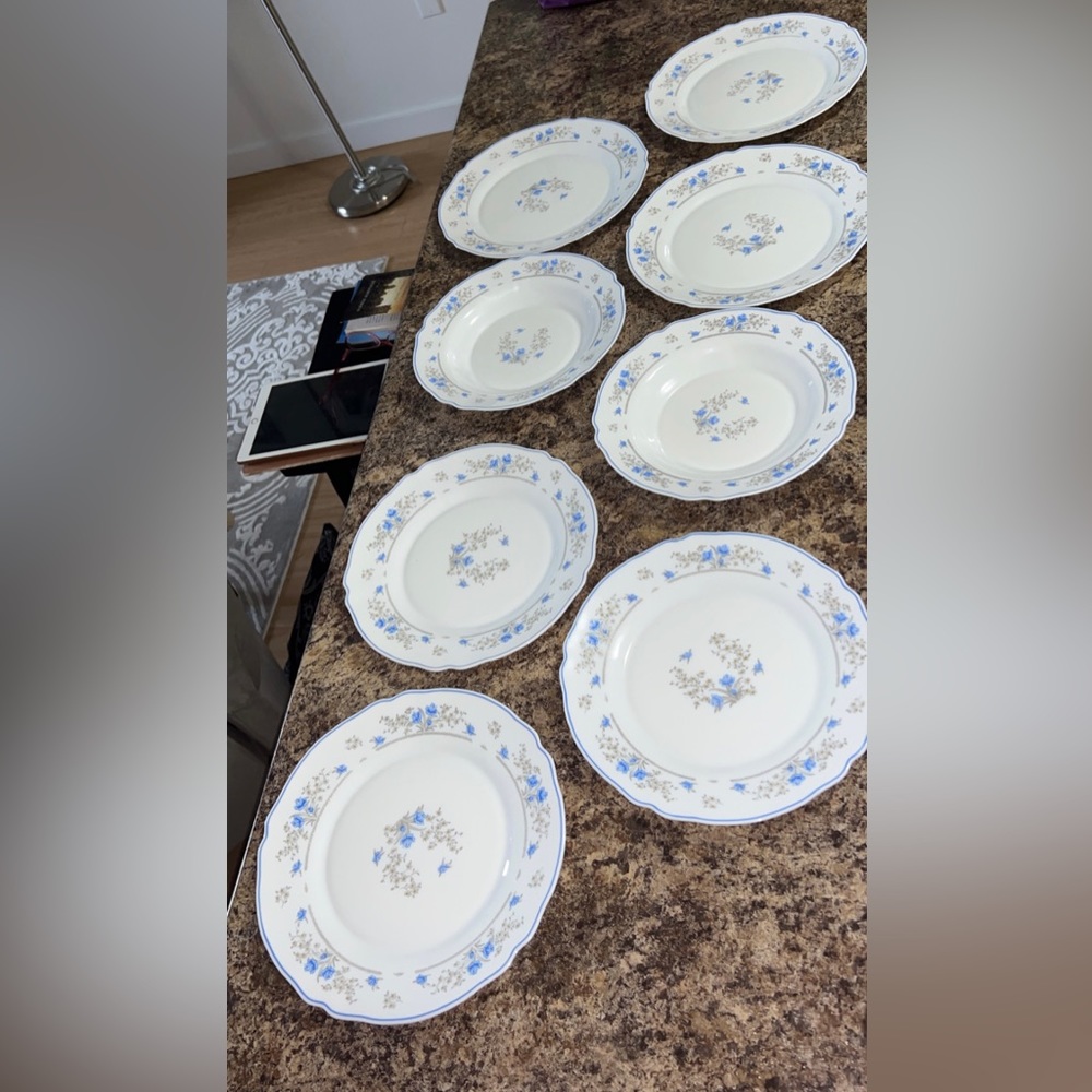 Acropal France Romantique Pattern Dinnerware